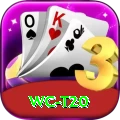 wc t20 Premium Plus v4.4.2