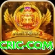 webcric com
