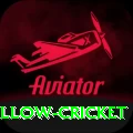 willow cricket Apps (Tools & Injectors) Max v4.5.8