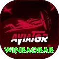 winbaobab Master vv5.4.2
